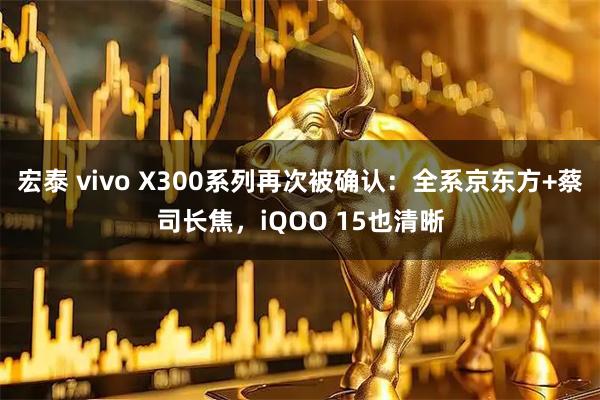 宏泰 vivo X300系列再次被确认：全系京东方+蔡司长焦，iQOO 15也清晰