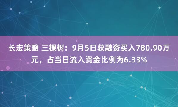 长宏策略 三棵树：9月5日获融资买入780.90万元，占当日流入资金比例为6.33%