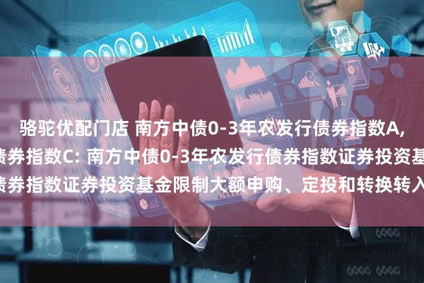 骆驼优配门店 南方中债0-3年农发行债券指数A,南方中债0-3年农发行债券指数C: 南方中债0-3年农发行债券指数证券投资基金限制大额申购、定投和转换转入业务的公告