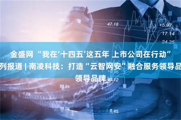 金盛网 “我在‘十四五’这五年 上市公司在行动”系列报道 | 南凌科技：打造“云智网安”融合服务领导品牌