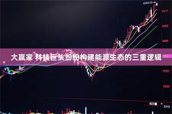 大赢家 科技巨头纷纷构建能源生态的三重逻辑