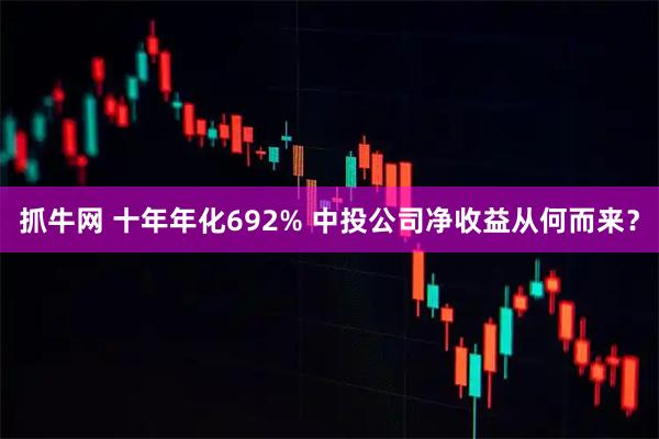 抓牛网 十年年化692% 中投公司净收益从何而来？